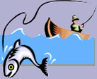 Fly Fishing